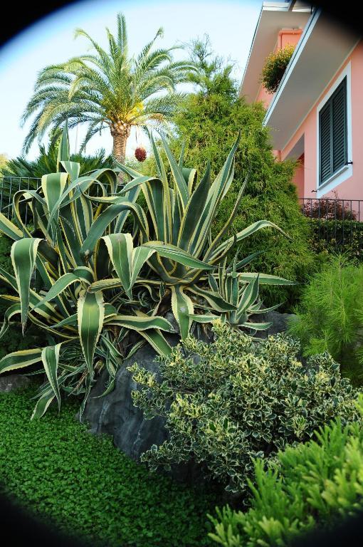 Residence La Cycas Villammare Extérieur photo